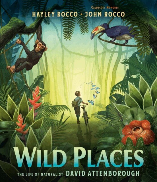 Hayley Rocco - Wild Places, E-bok