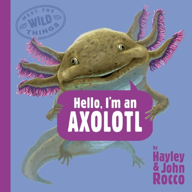 Hayley Rocco - Hello, I'm an Axolotl (Meet the Wild Things, Book 4), E-bok