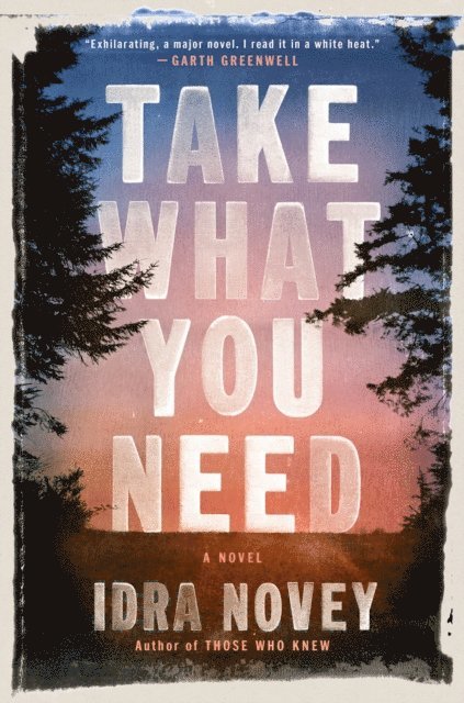 Idra Novey - Take What You Need, E-bok