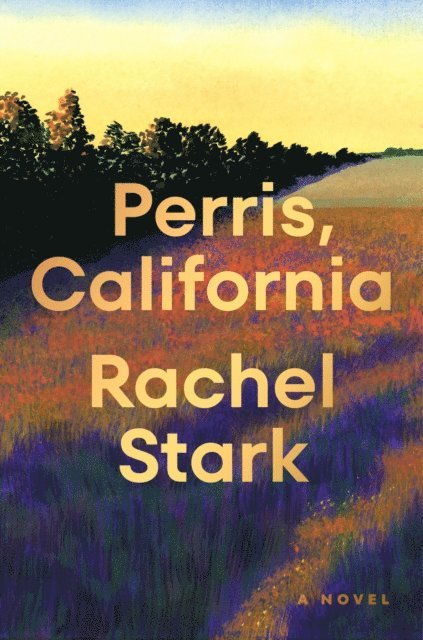 Rachel Stark - Perris, California, E-bok