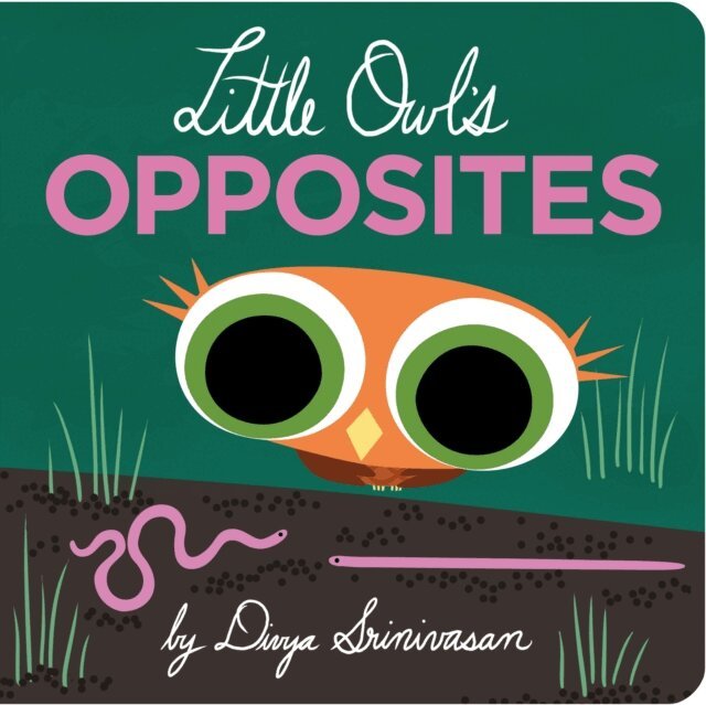 Divya Srinivasan - Little Owl's Opposites, E-bok