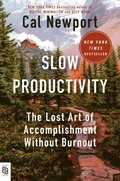 Slow Productivity