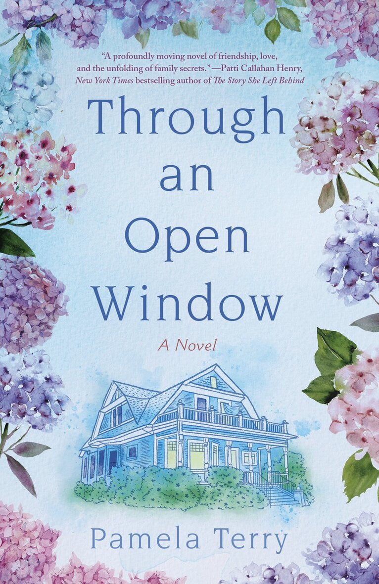 Pamela Terry - Through an Open Window, Häftad