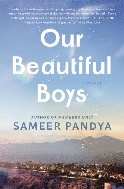 Sameer Pandya - Our Beautiful Boys, E-bok