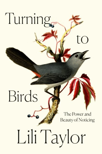 Lili Taylor - Turning to Birds, E-bok