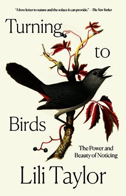 Lili Taylor - Turning to Birds: The Power and Beauty of Noticing, Häftad