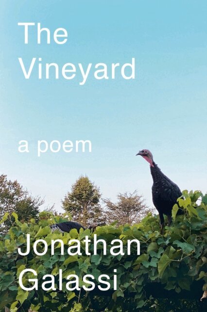 Jonathan Galassi - Vineyard, E-bok