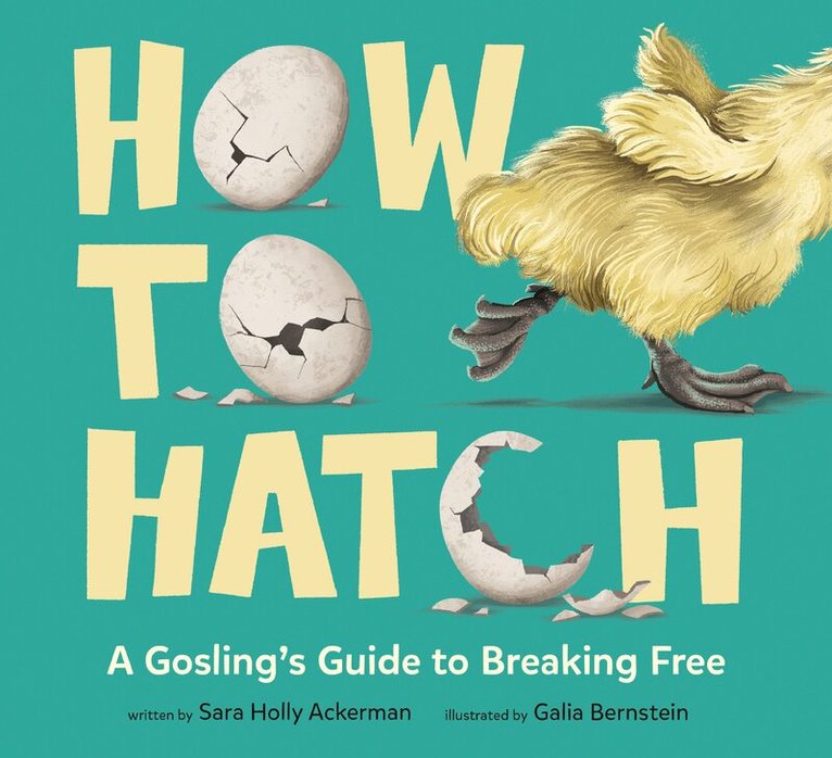 Sara Holly Ackerman, Galia Bernstein - How to Hatch, Inbunden
