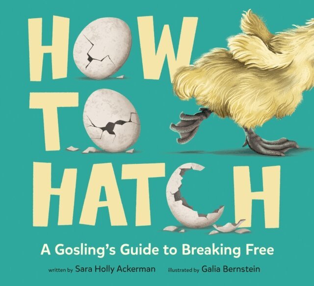 Sara Holly Ackerman - How to Hatch, E-bok