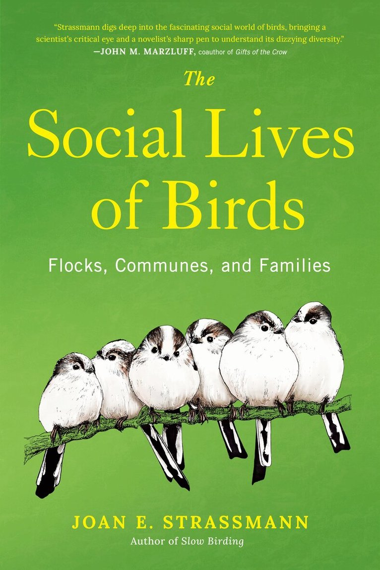 Joan E. Strassmann - The Social Lives of Birds, Inbunden