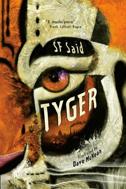 SF Said - Tyger, E-bok