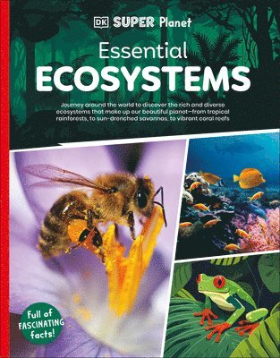 Dk - DK Super Planet Essential Ecosystems, Häftad