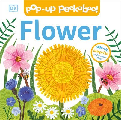 Dk - Pop-Up Peekaboo! Flower, Kartonnage