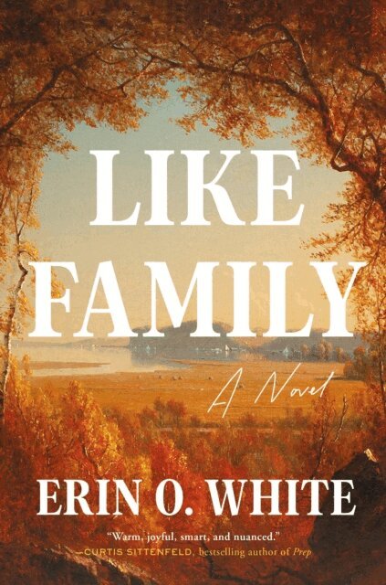 Erin O. White - Like Family, E-bok