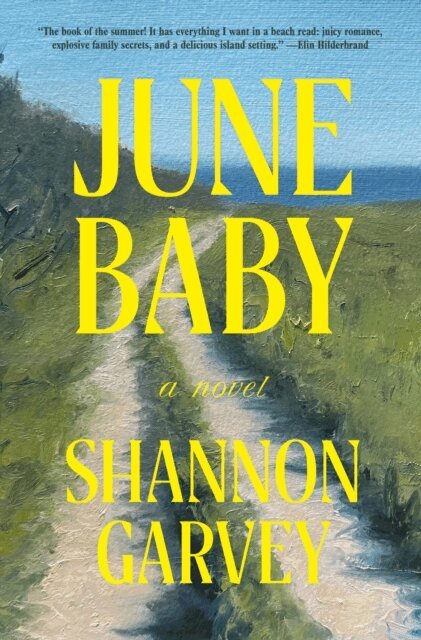 Shannon Garvey - June Baby, E-bok