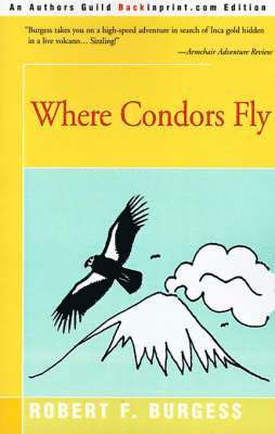 Robert F Burgess - Where Condors Fly, Häftad. Tillgänglighet: Lägg i varukorg