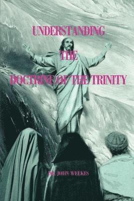 John Weekes - Understanding the Doctrine of the Trinity, Häftad. Tillgänglighet: Lägg i varukorg