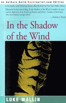 Luke Wallin - In the Shadow of the Wind, Häftad. Tillgänglighet: Lägg i varukorg