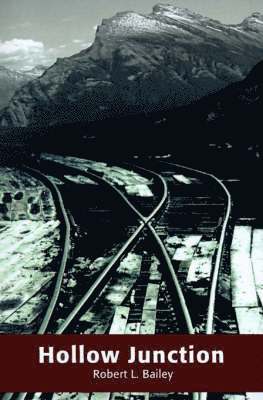 Robert L Bailey - Hollow Junction, Häftad