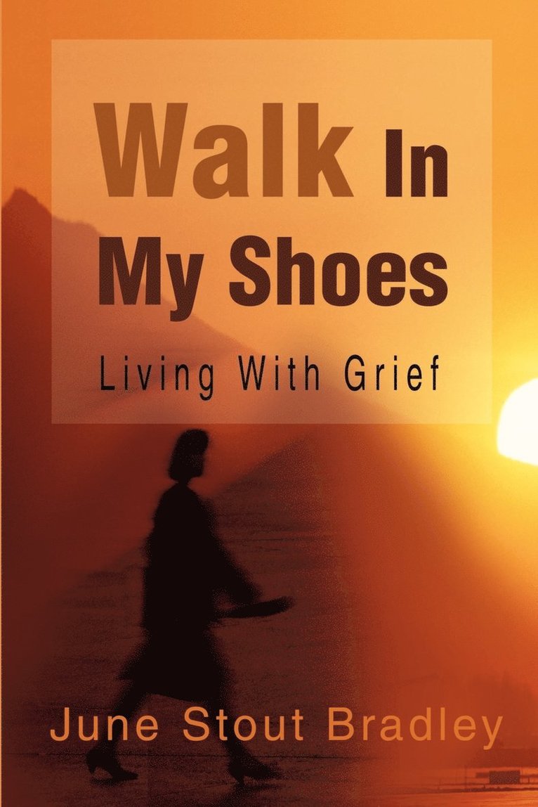 Walk in My Shoes