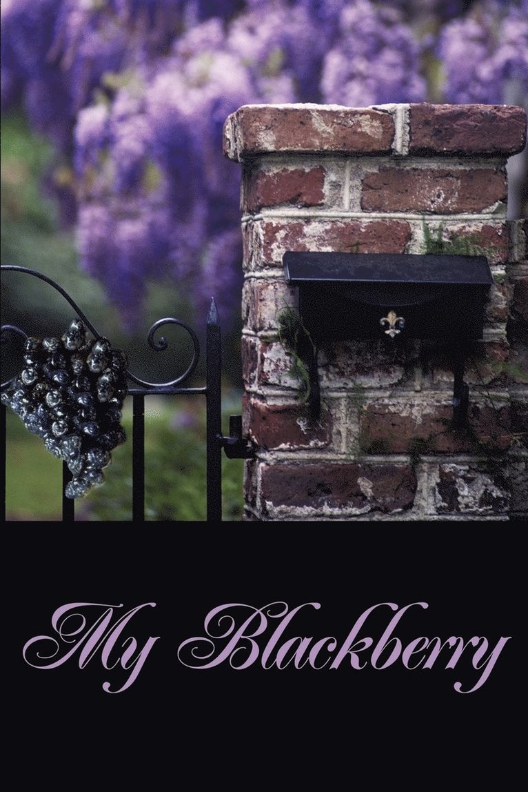 Rhonda Johnson - My Blackberry, Häftad