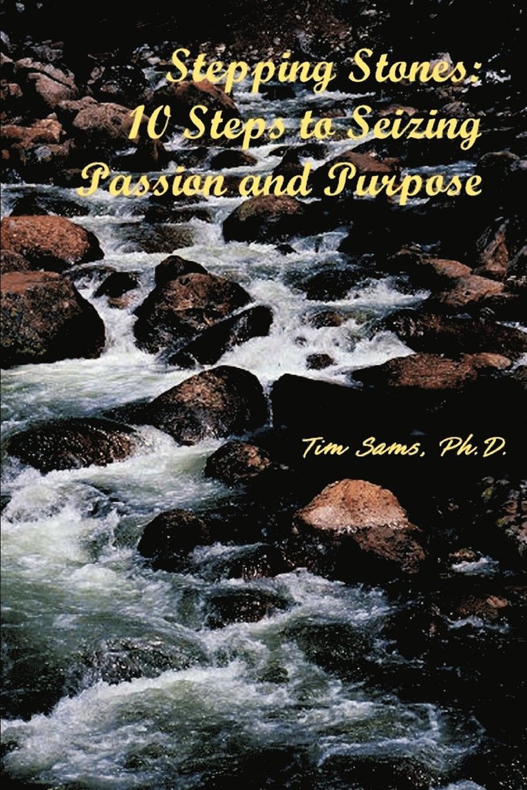 Timothy L Sams - Stepping Stones, Häftad
