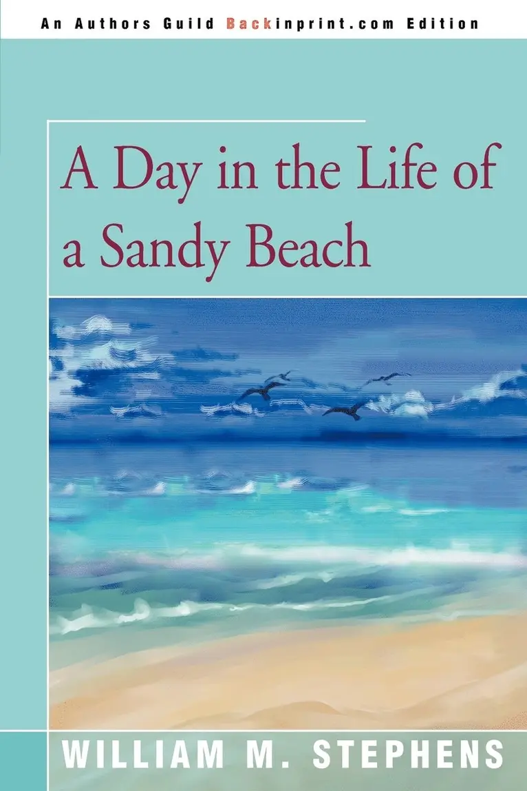 Day in the Life of a Sandy Beach
