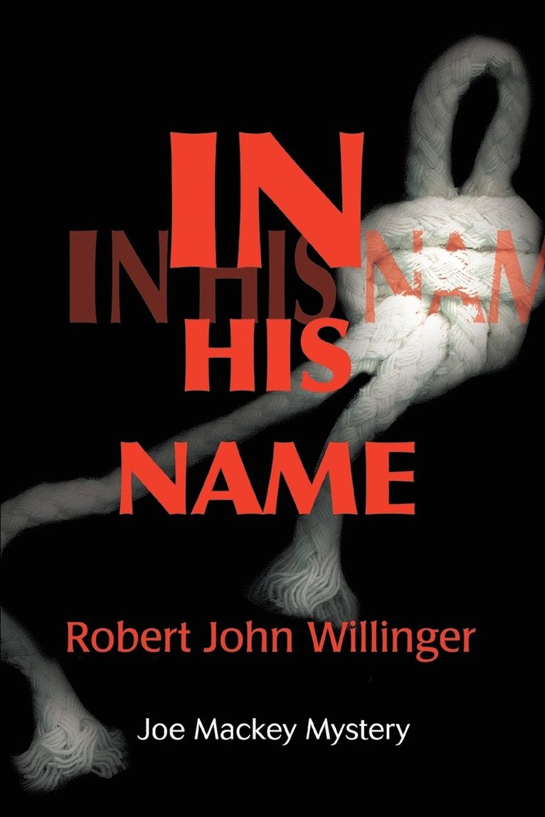 Robert John Willinger - In His Name, Häftad