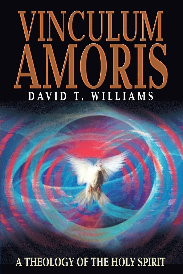 David T Williams - Vinculum Amoris, Häftad. Tillgänglighet: Lägg i varukorg