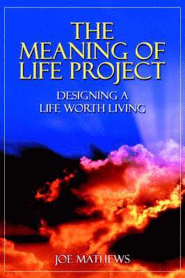 Joe Mathews - Meaning of Life Project, Häftad. Tillgänglighet: Lägg i varukorg