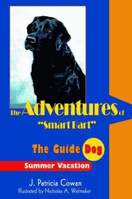 Adventures of Smart Bart