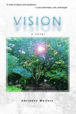 Adrienne Wolfert - Vision, Häftad. Tillgänglighet: Lägg i varukorg