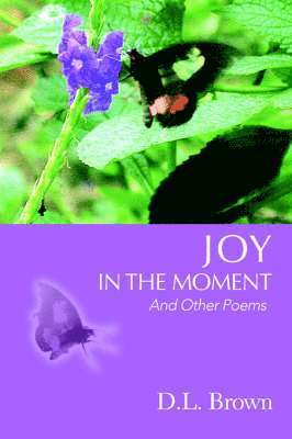 D L Brown - Joy in the Moment, Häftad