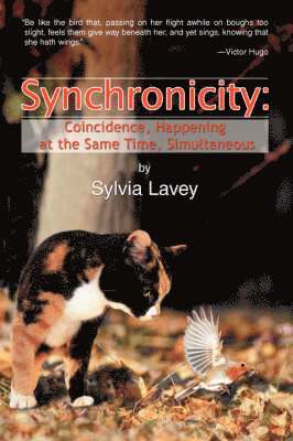 Sylvia Lavey - Synchronicity, Häftad. Tillgänglighet: Lägg i varukorg