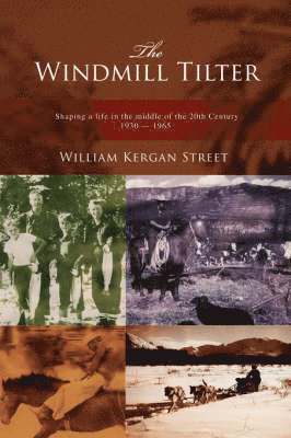 Windmill Tilter