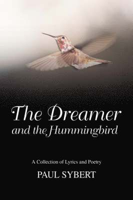 Paul W Sybert - Dreamer and the Hummingbird, Häftad. Tillgänglighet: Lägg i varukorg