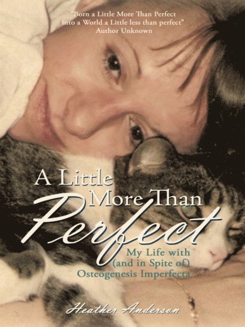 Heather Anderson - Little More Than Perfect, E-bok