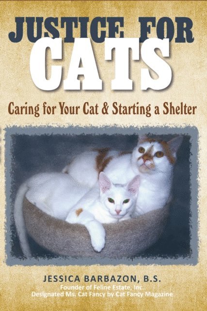 Justice For Cats