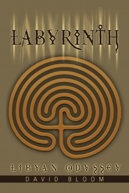 David Bloom - Labyrinth, E-bok