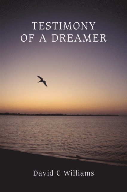 David C. Williams - Testimony of a Dreamer, E-bok