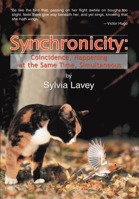 Sylvia Lavey - Synchronicity, E-bok. Tillgänglighet: Lägg i varukorg
