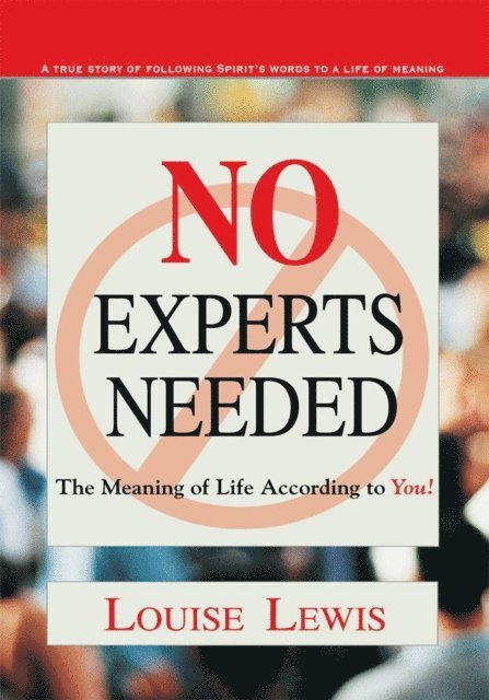 Louise Lewis - No Experts Needed, E-bok
