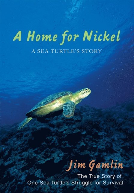 Home for Nickel