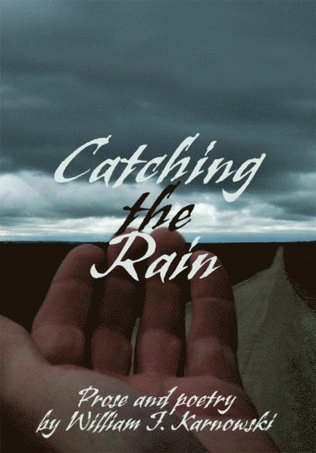 William J. Karnowski - Catching the Rain, E-bok