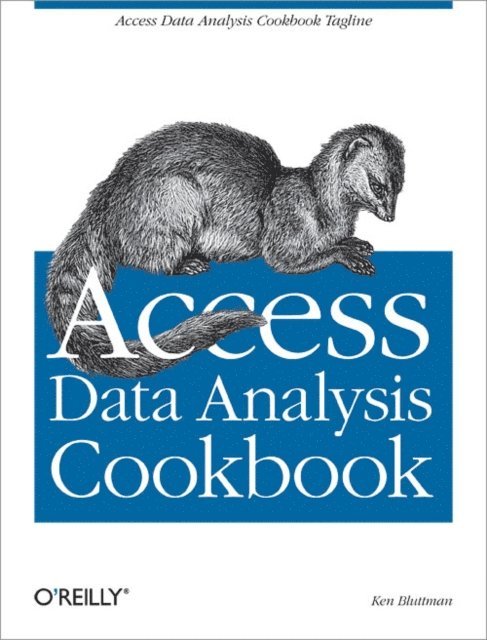 Wayne S. Freeze, Ken Bluttman - Access Data Analysis Cookbook, E-bok