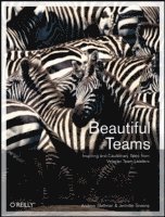 Beautiful Teams: Inspiring And Cautionary Tales From Veteran Team Leaders