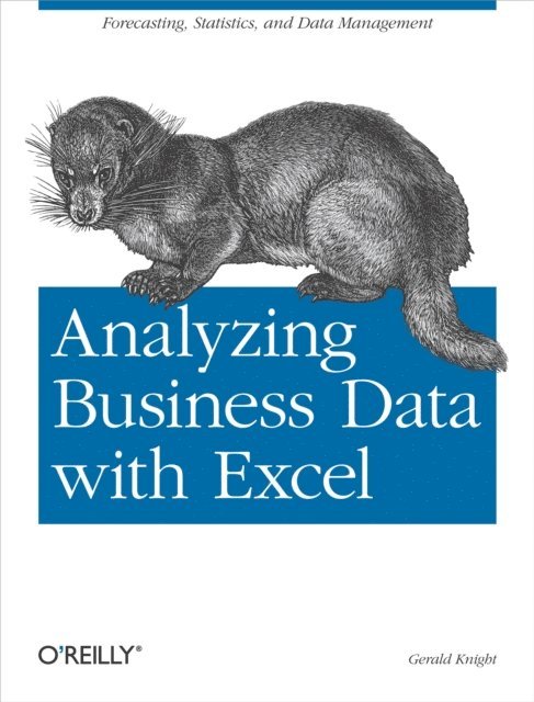 Gerald Knight - Analyzing Business Data with Excel, E-bok
