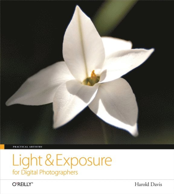 Harold Davis - Practical Artistry: Light & Exposure for Digital Photographers, E-bok