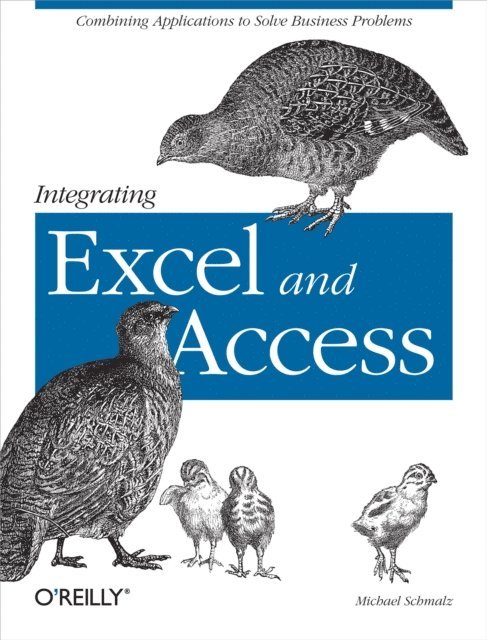 Michael Schmalz - Integrating Excel and Access, E-bok