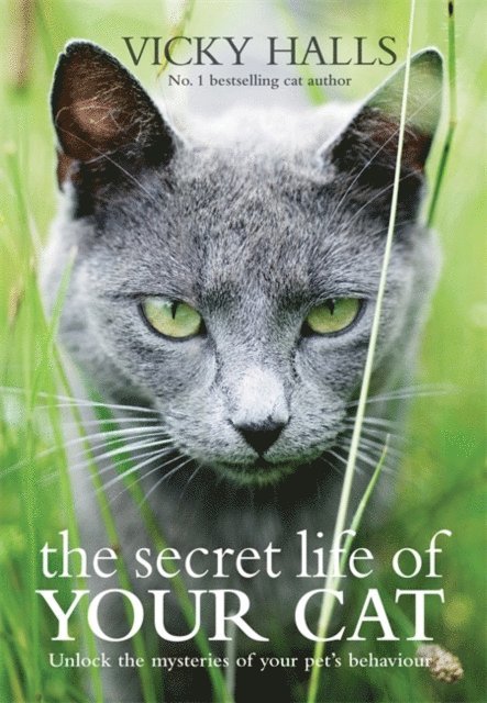 Vicky Halls - Secret Life of your Cat, E-bok